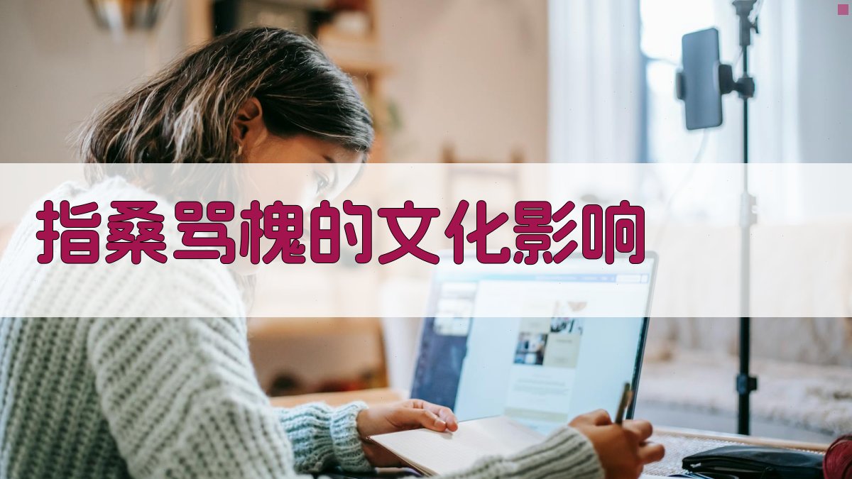 ‘指桑骂槐’的文化影响 图3