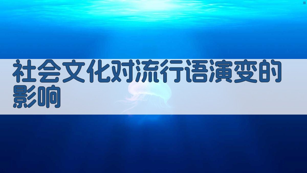 社会文化对流行语演变的影响 图2
