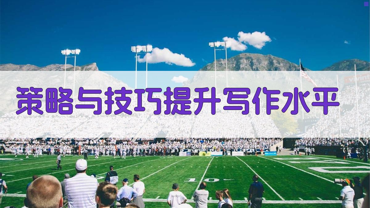 策略与技巧提升写作水平 图4