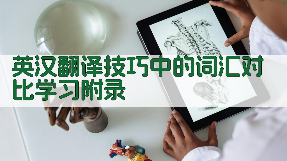 英汉翻译技巧中的词汇对比学习 · 附录 图2