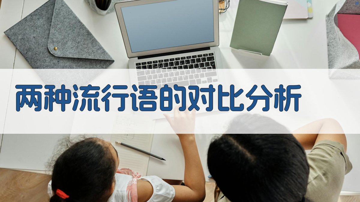 两种流行语的对比分析 图2