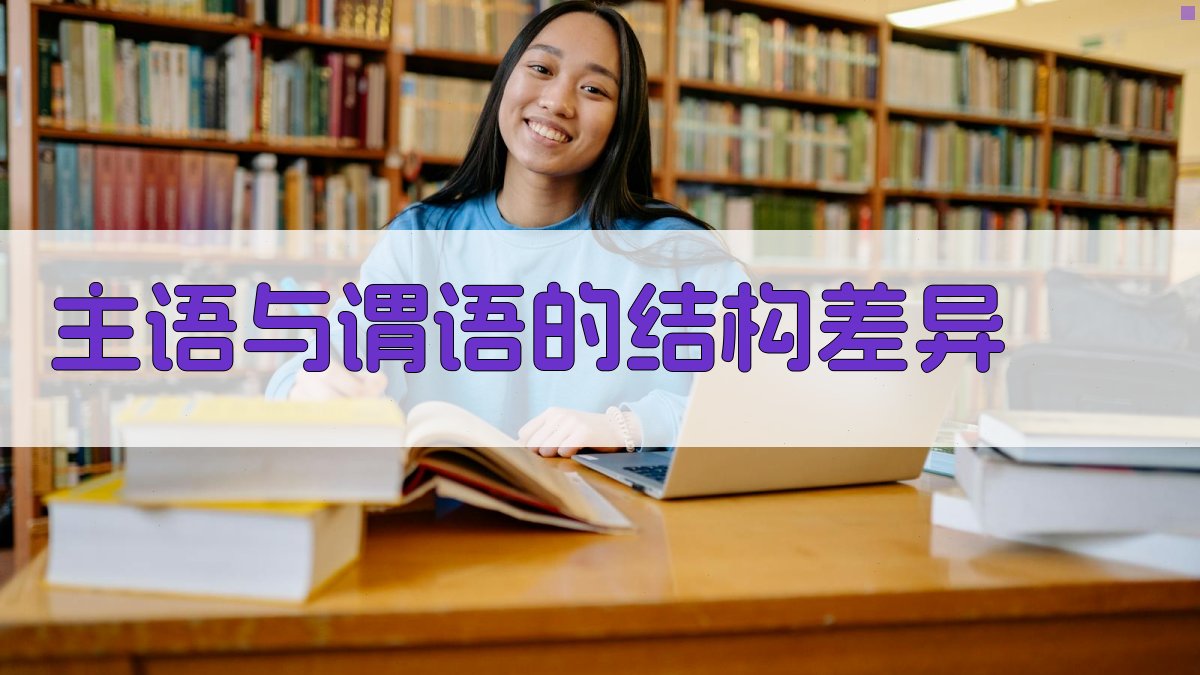 主语与谓语的结构差异 图1