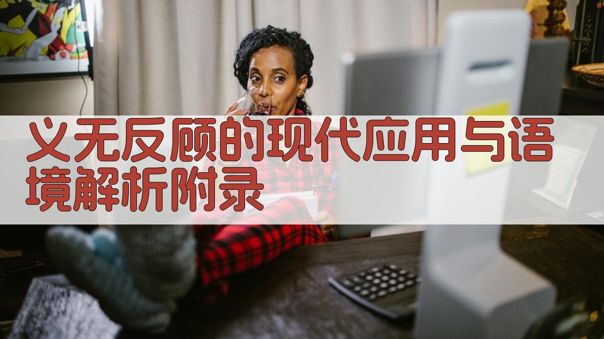 义无反顾的现代应用与语境解析 · 附录 图5