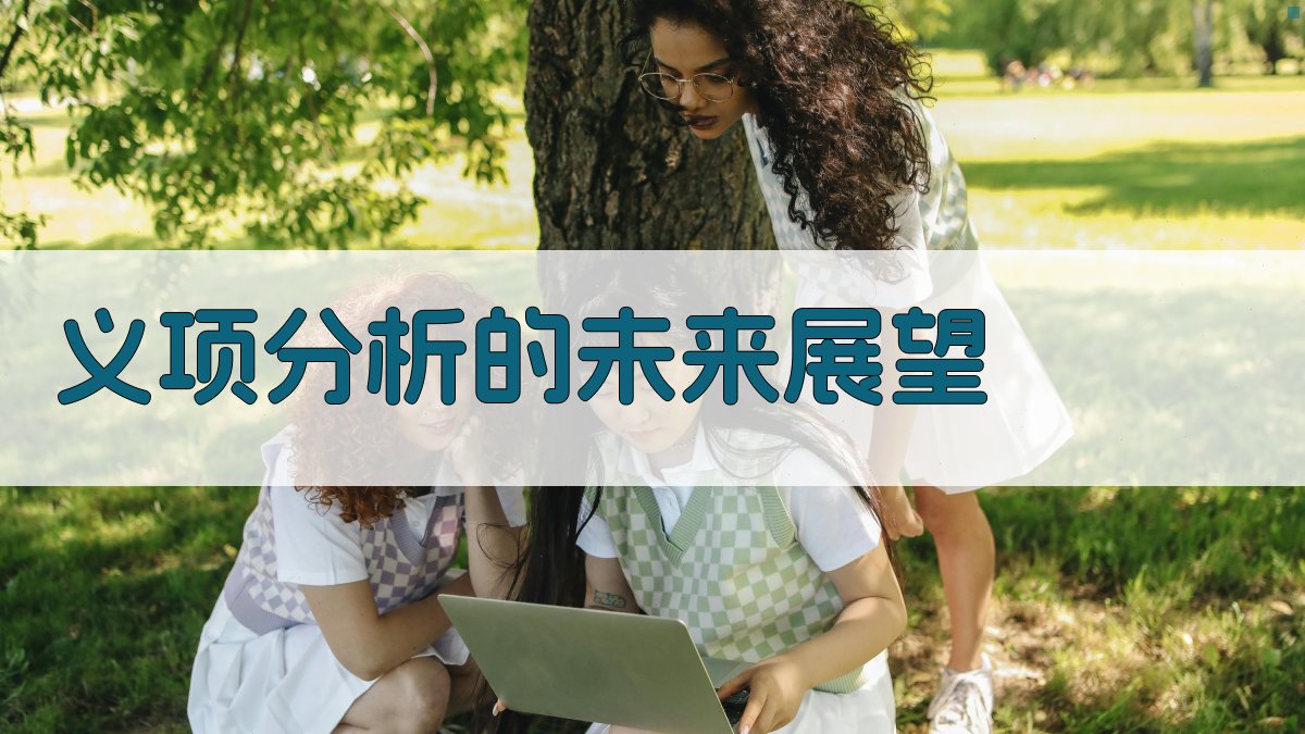 义项分析的未来展望 图4