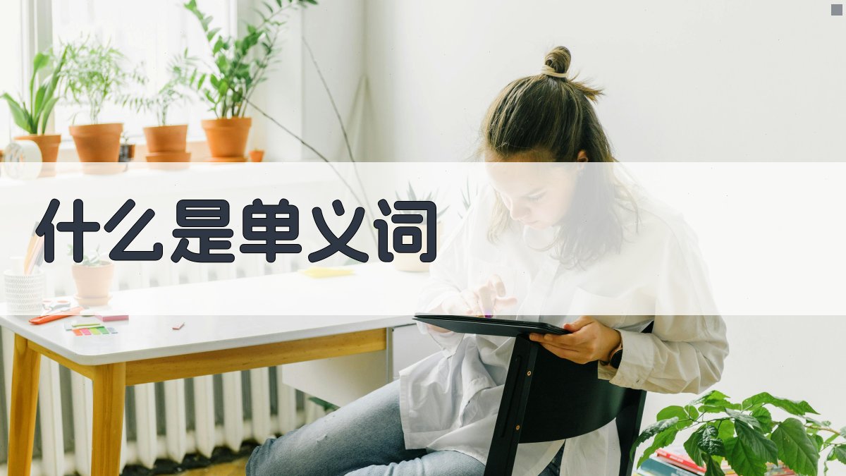 什么是单义词 图1