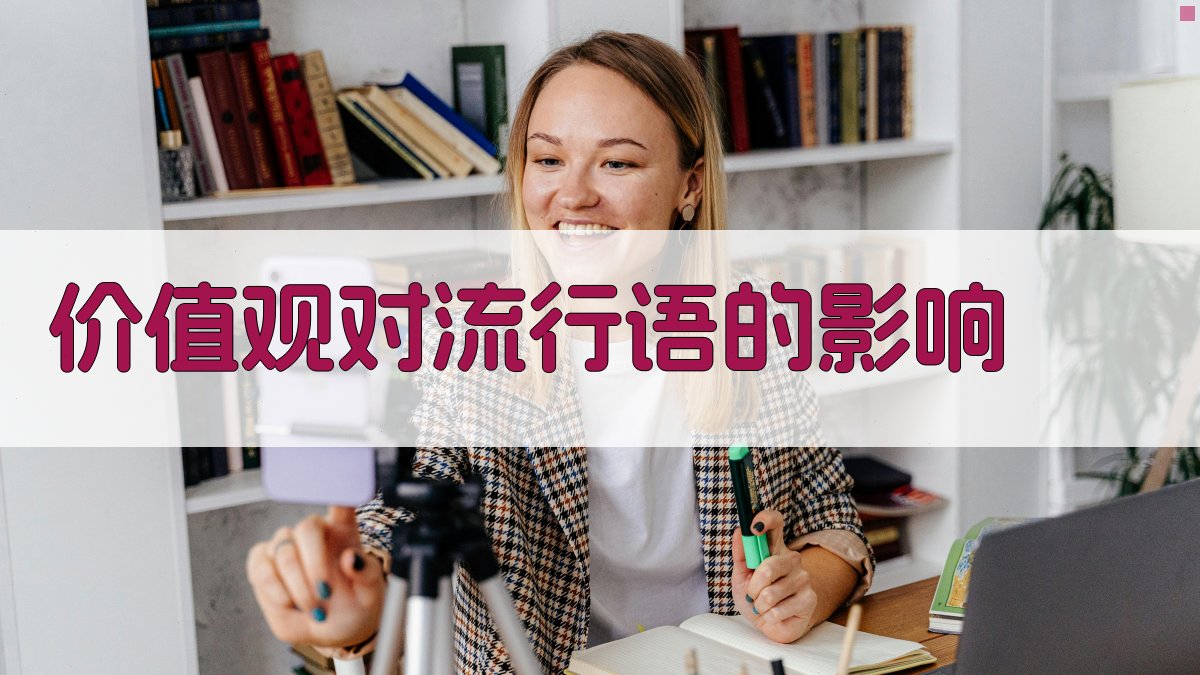 价值观对流行语的影响 图2