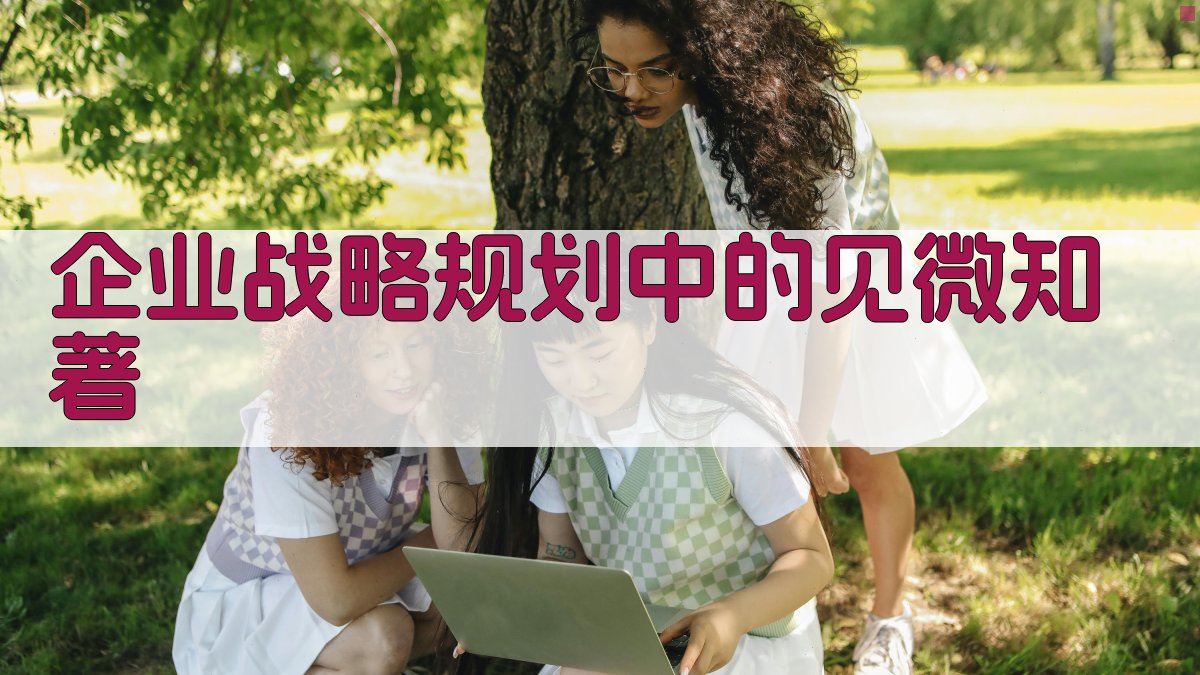 企业战略规划中的见微知著 图2