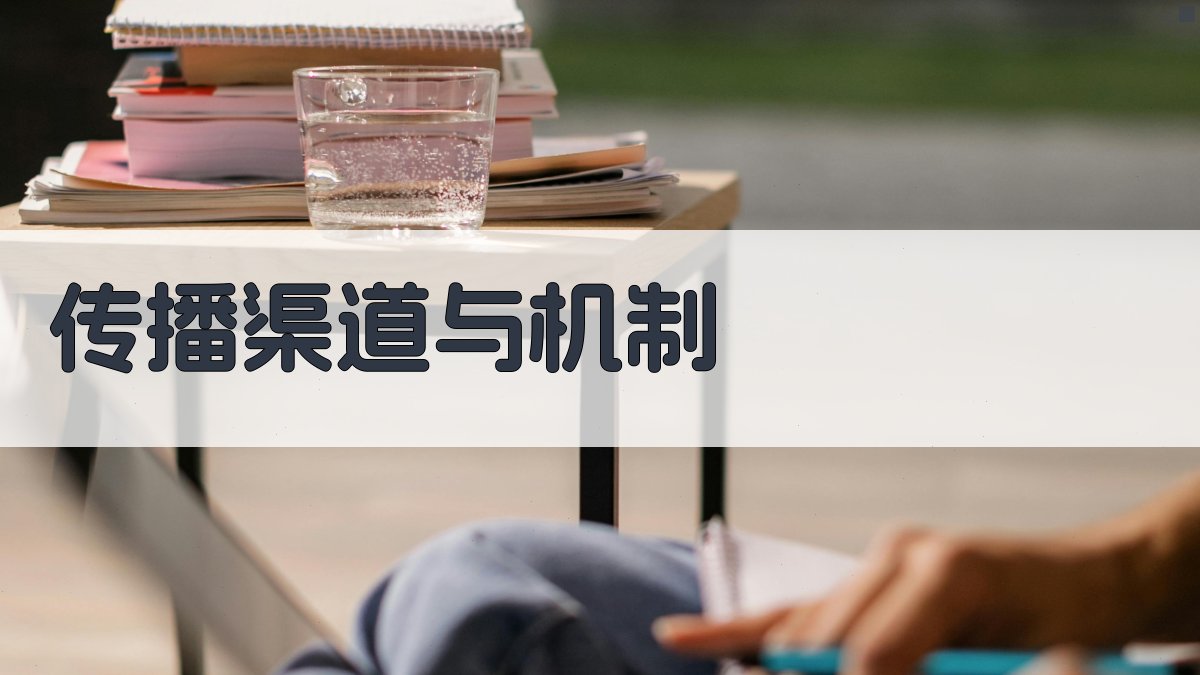 传播渠道与机制 图2