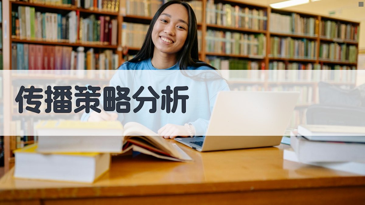 传播策略分析 图2