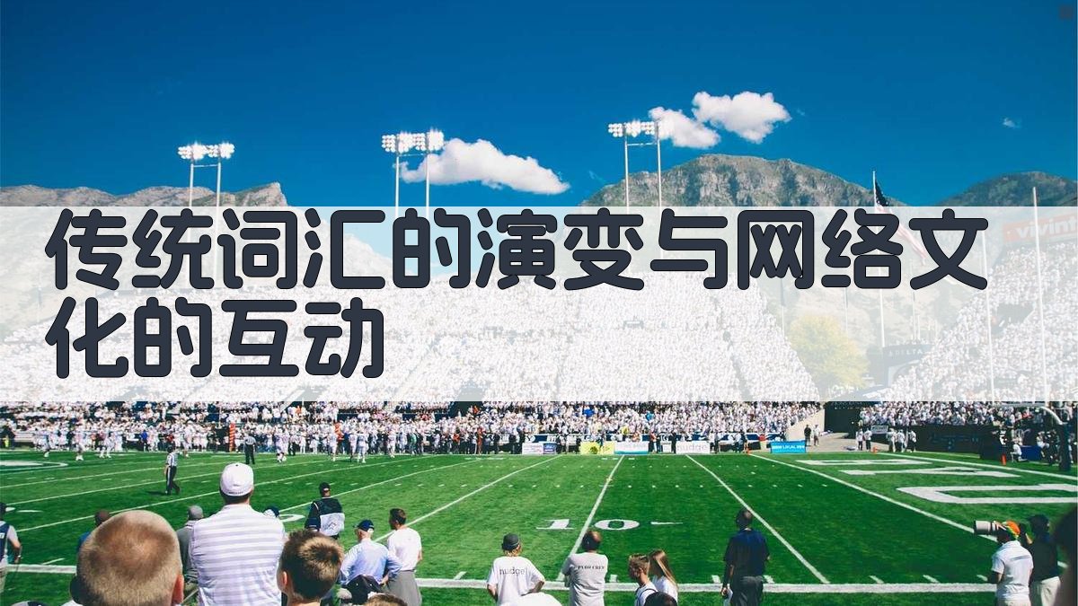 传统词汇的演变与网络文化的互动 图2