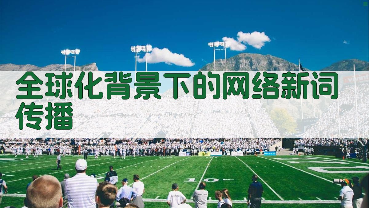 全球化背景下的网络新词传播 图1