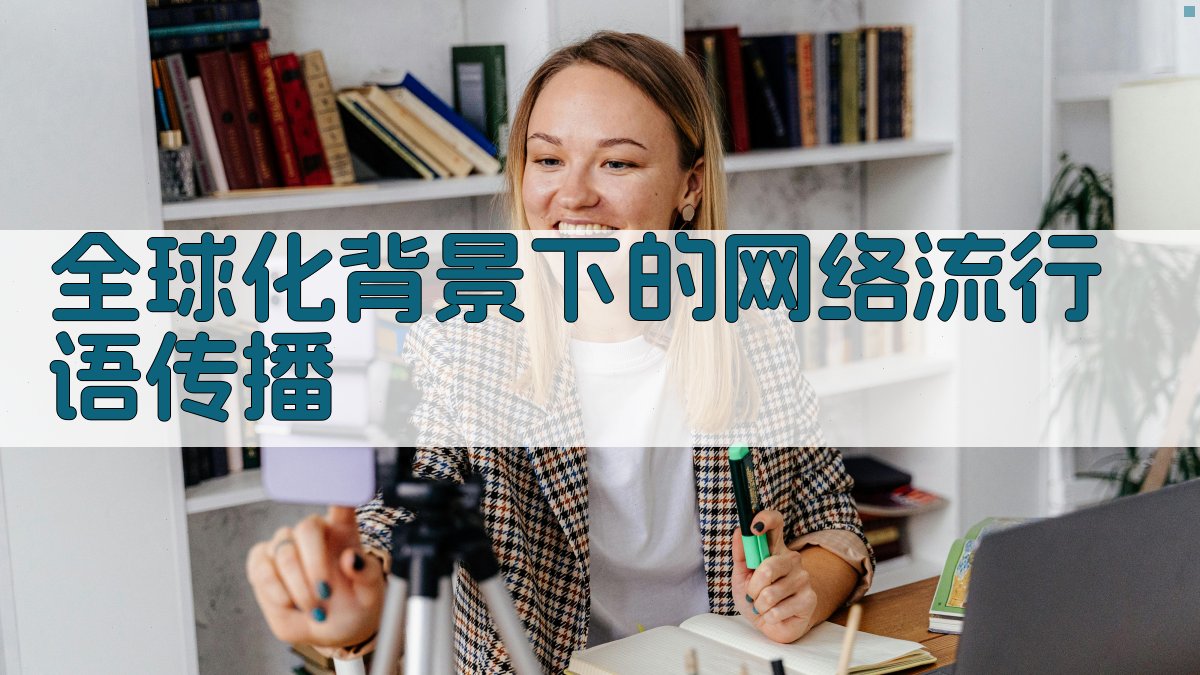 全球化背景下的网络流行语传播 图2