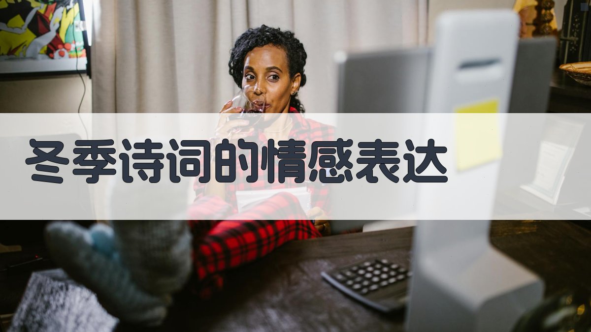 冬季诗词的情感表达 图5