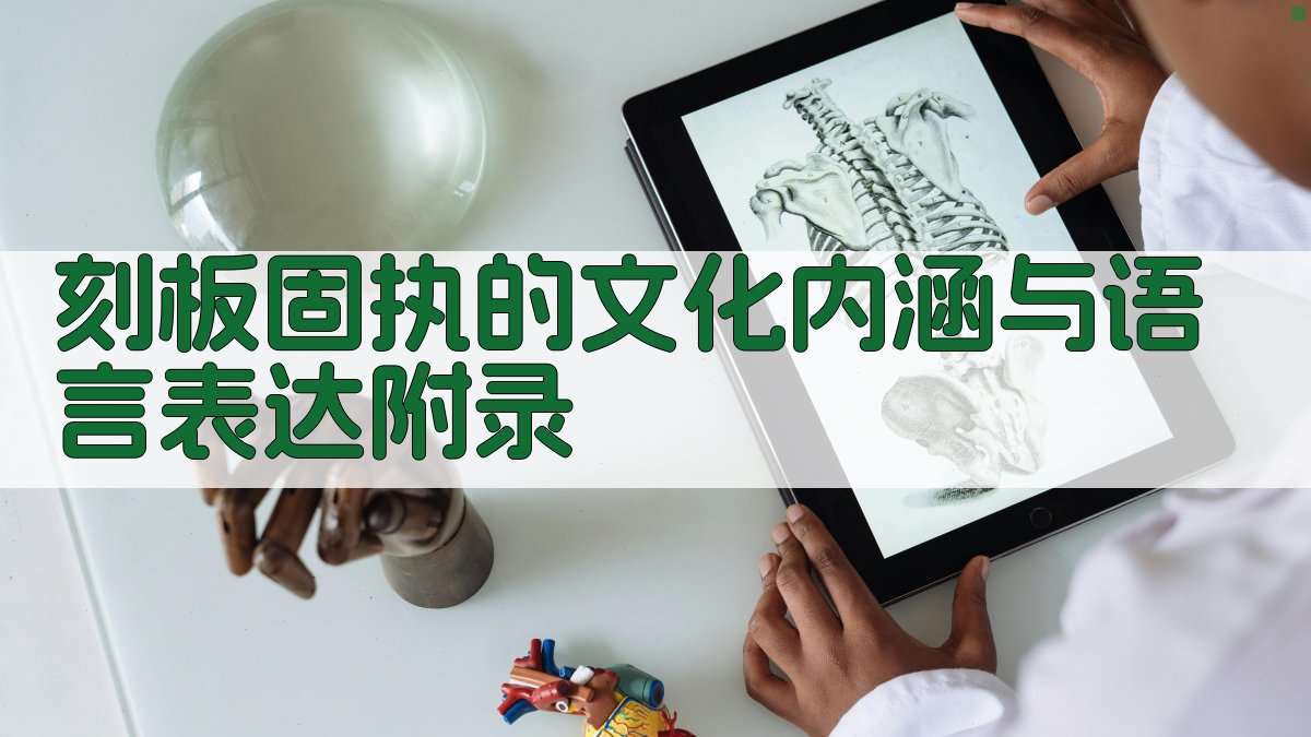 刻板固执的文化内涵与语言表达 · 附录 图5