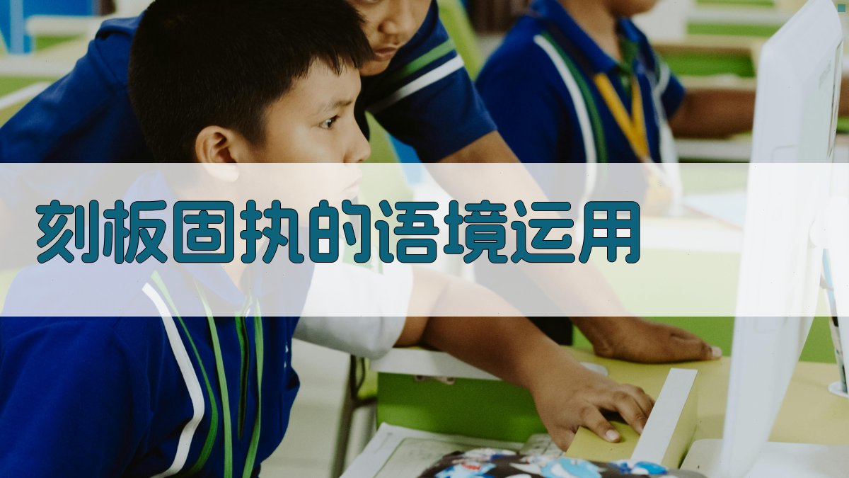 刻板固执的语境运用 图4