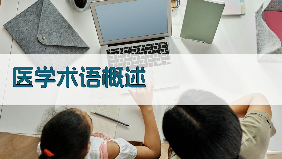 医学术语概述 图1