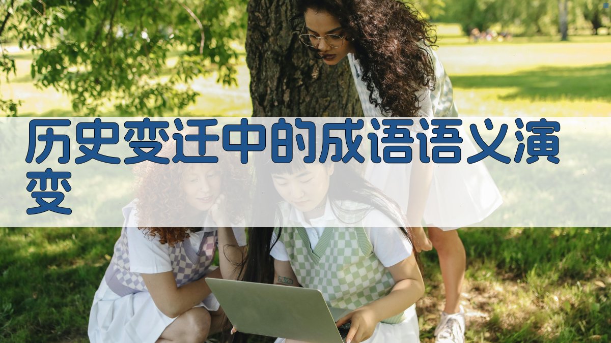 历史变迁中的成语语义演变 图2