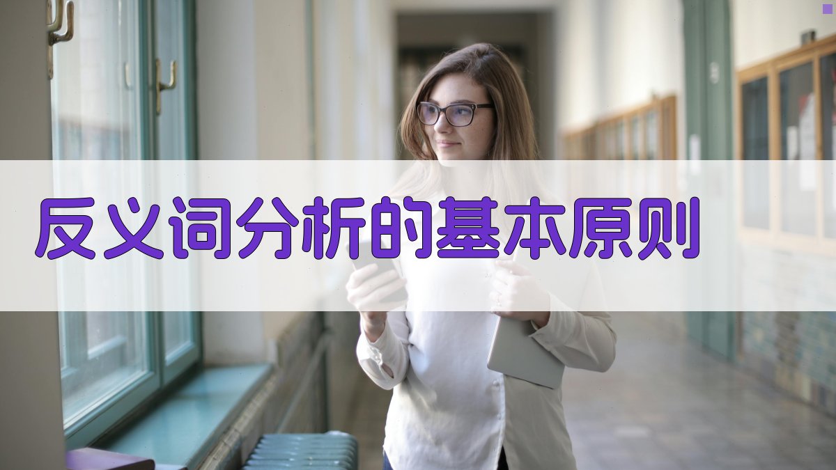 反义词分析的基本原则 图2