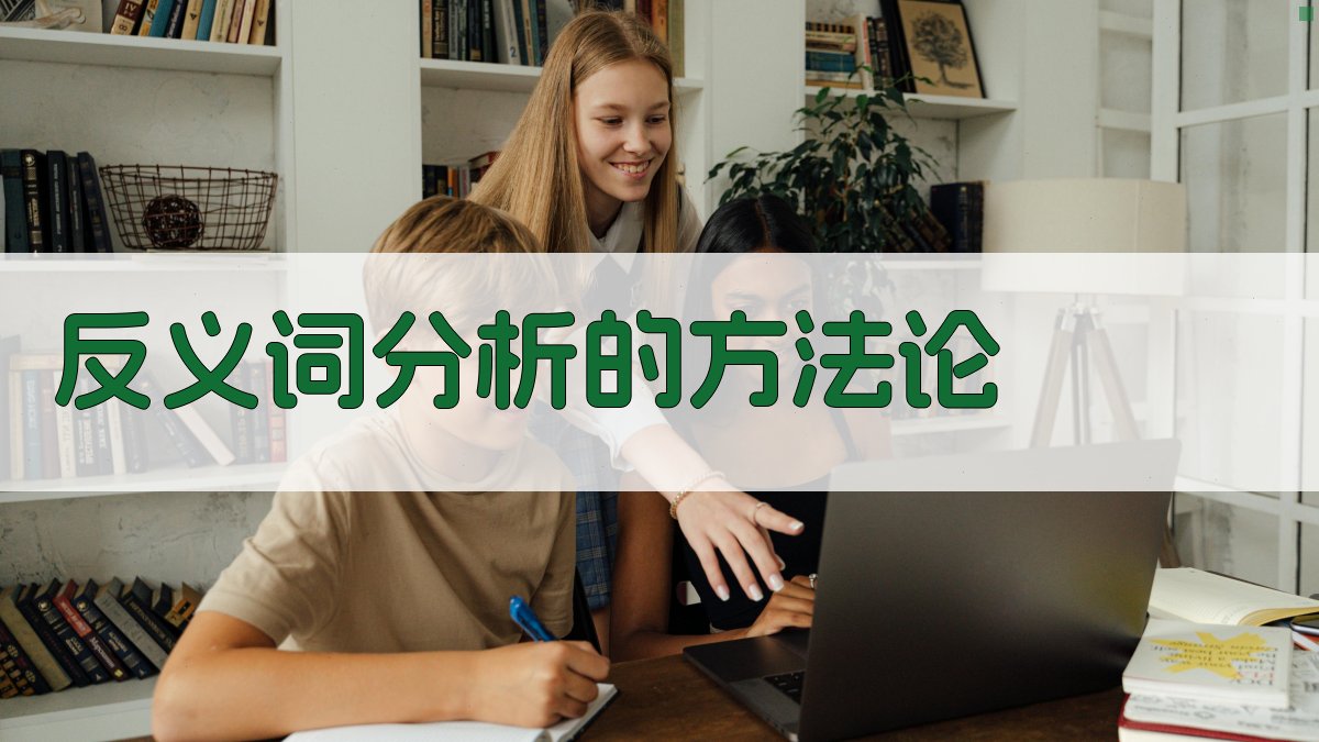 反义词分析的方法论 图1