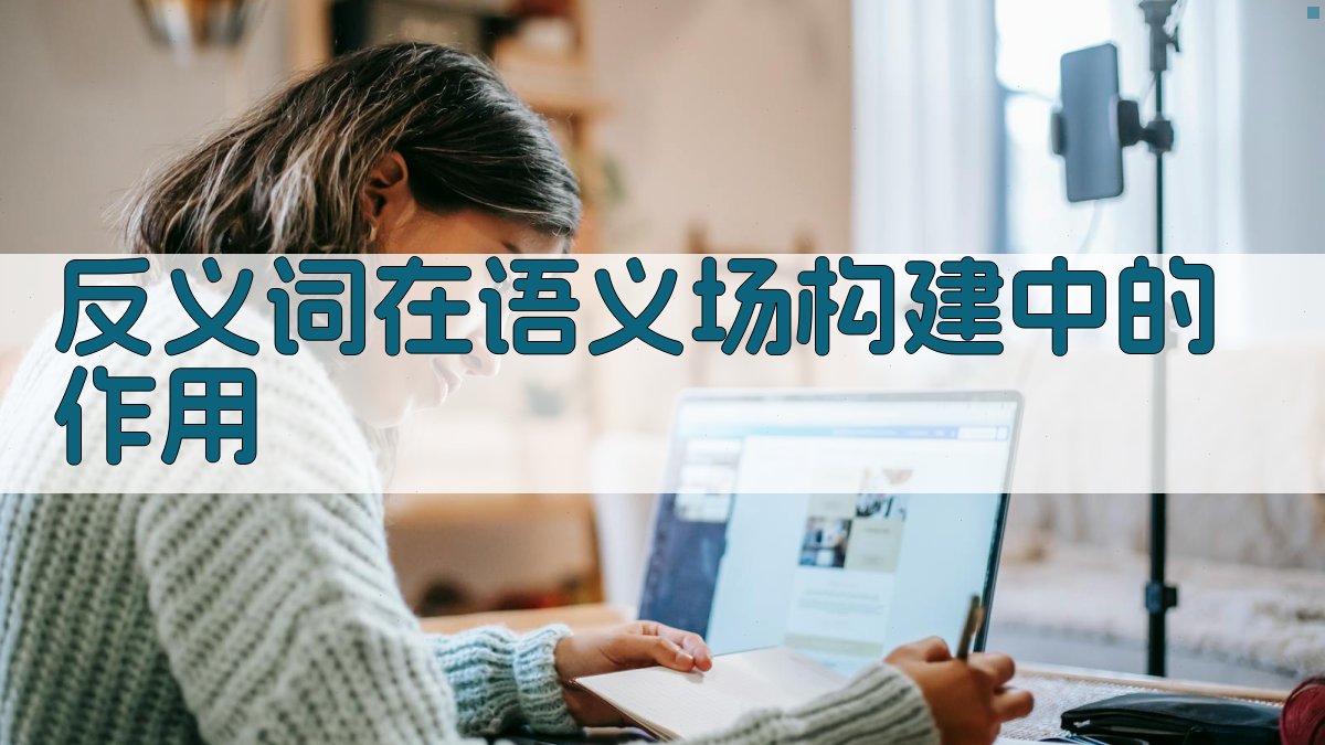 反义词在语义场构建中的作用 图2