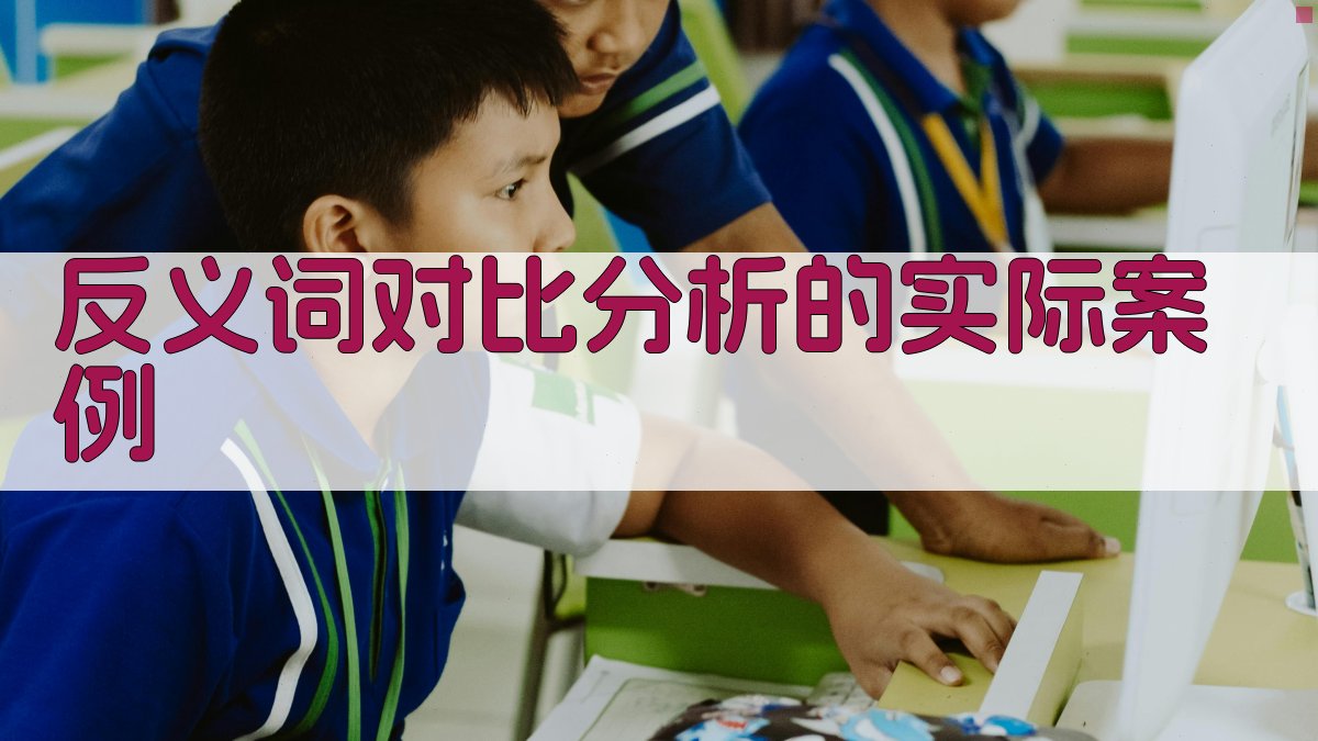 反义词对比分析的实际案例 图3