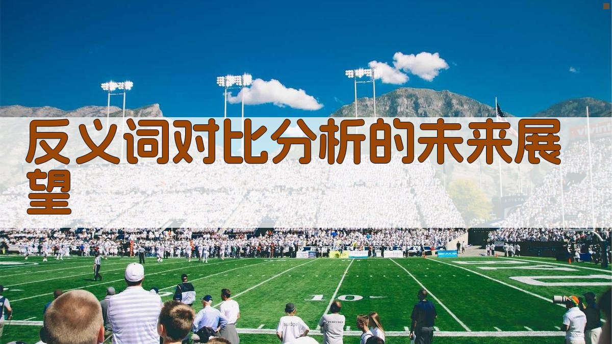 反义词对比分析的未来展望 图3