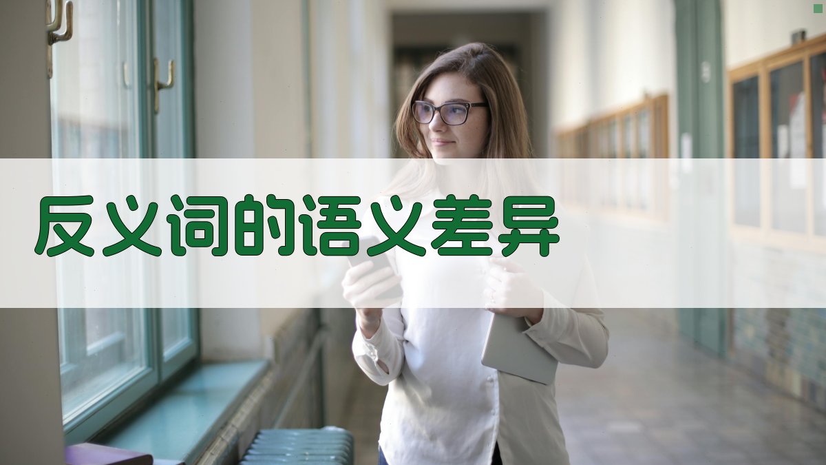 反义词的语义差异 图2