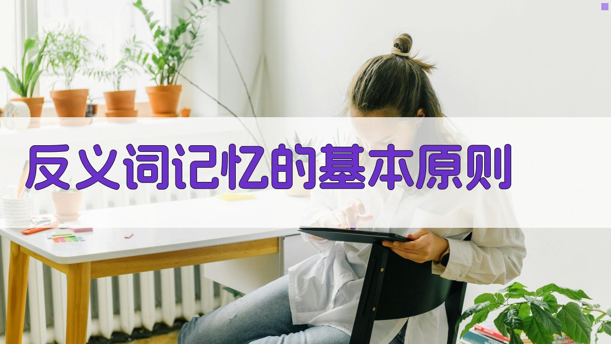 反义词记忆的基本原则 图1