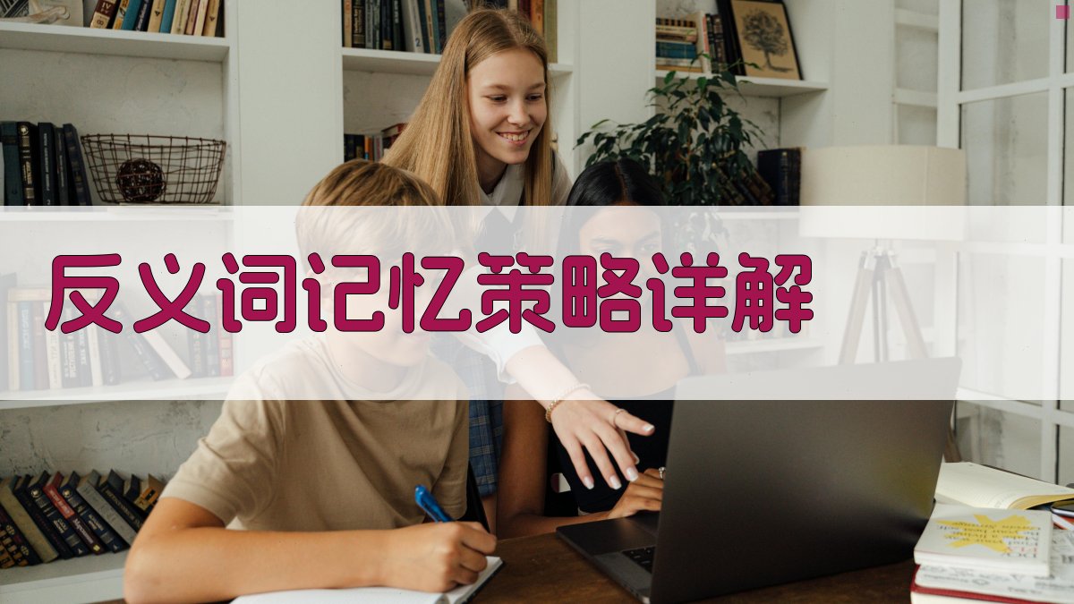 反义词记忆策略详解 图2