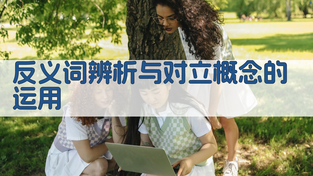 反义词辨析与对立概念的运用 图2