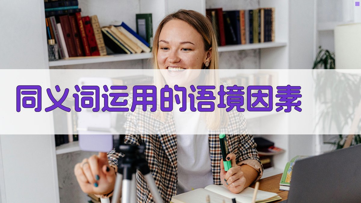 同义词运用的语境因素 图4