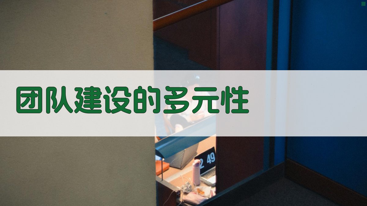 团队建设的多元性 图2