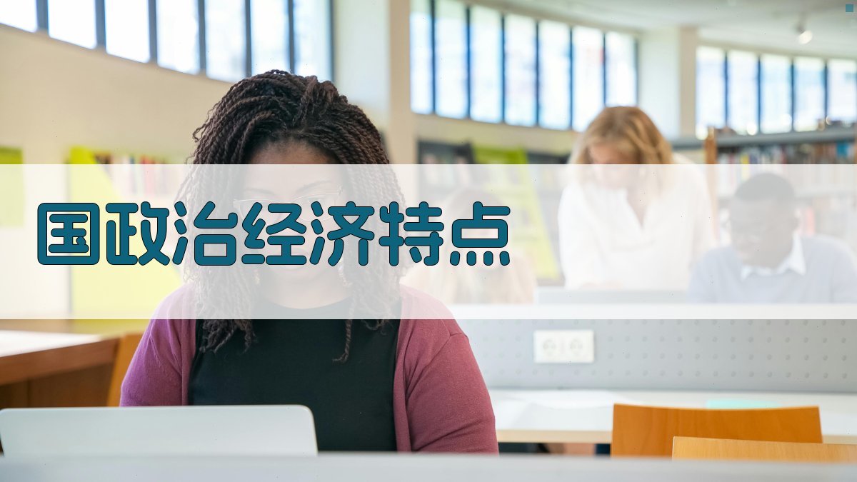 国政治经济特点 图1
