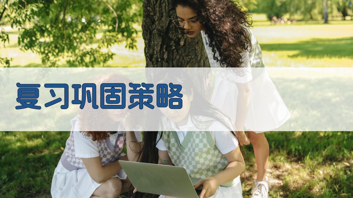 复习巩固策略 图3