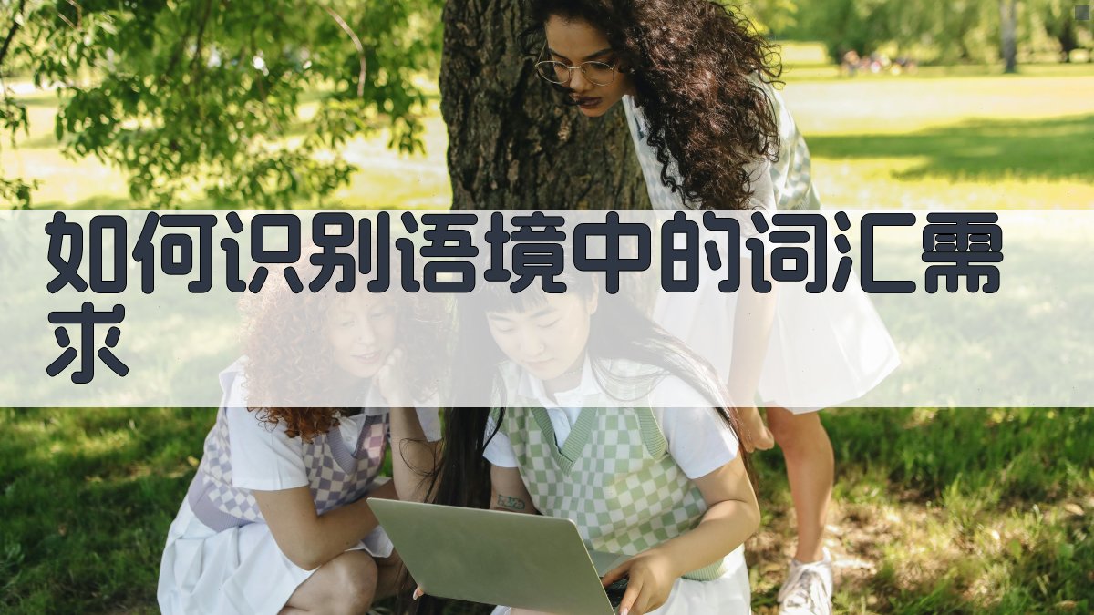 如何识别语境中的词汇需求 图3