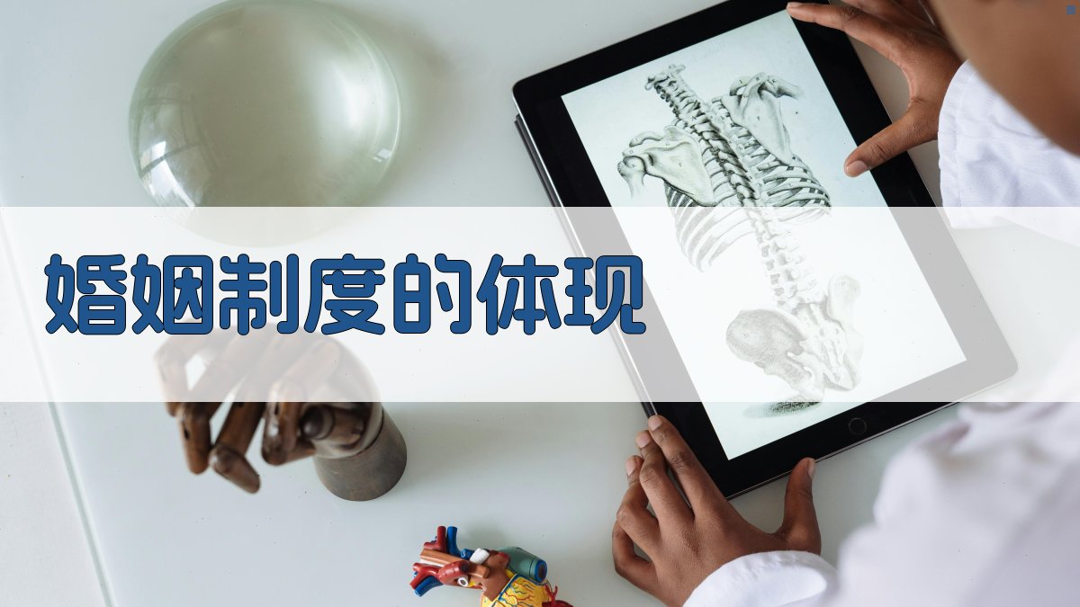 婚姻制度的体现 图2