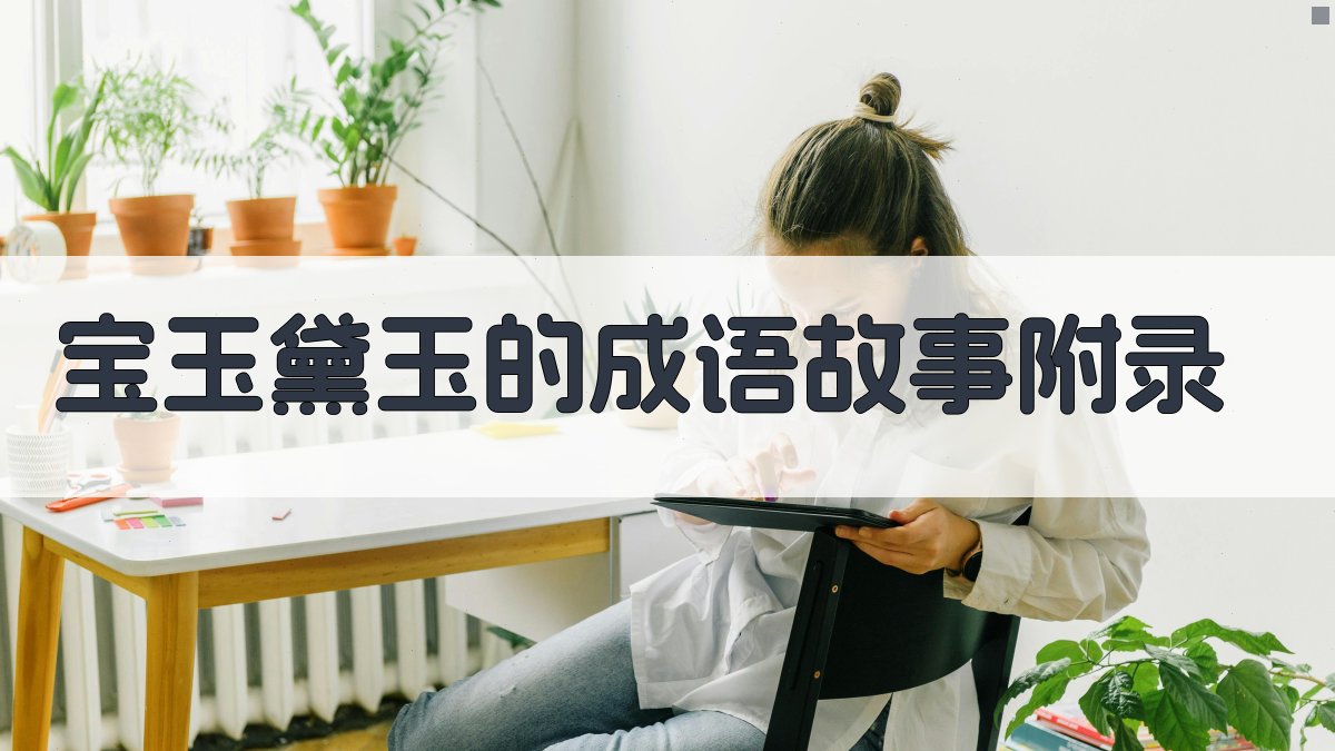 宝玉黛玉的成语故事 · 附录 图4