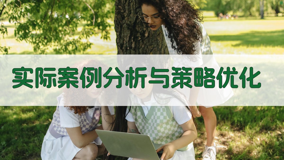 实际案例分析与策略优化 图1