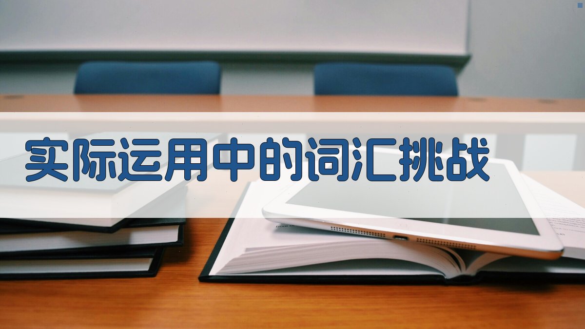 实际运用中的词汇挑战 图4