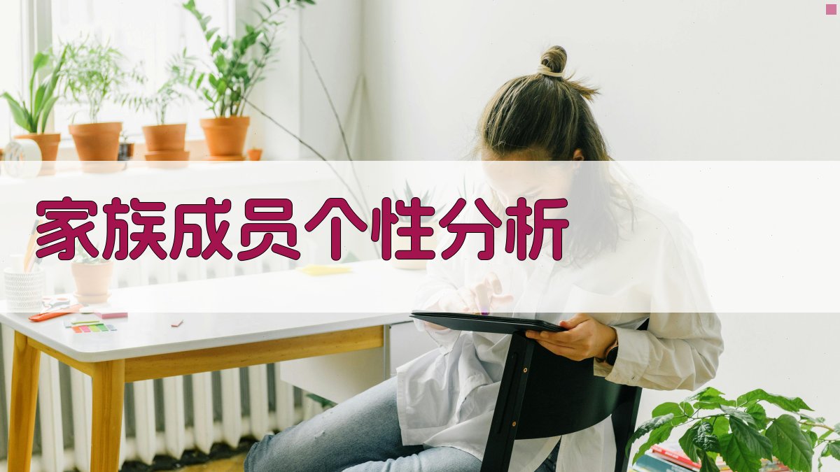 家族成员个性分析 图3