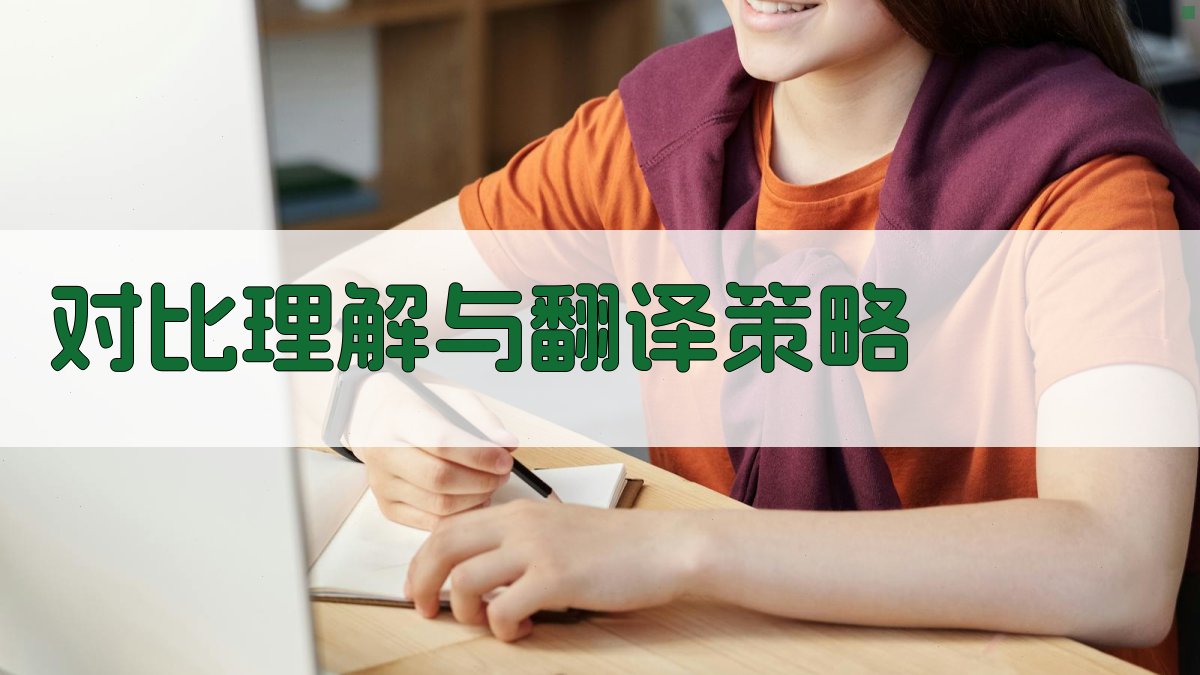 对比理解与翻译策略 图3