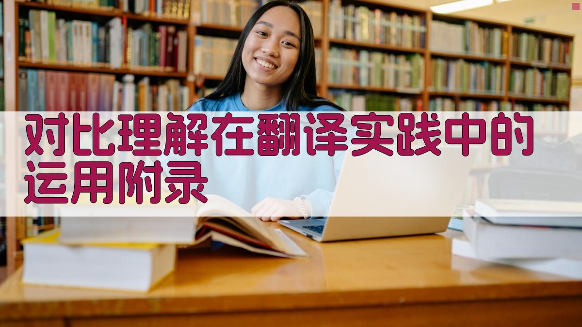 对比理解在翻译实践中的运用 · 附录 图1