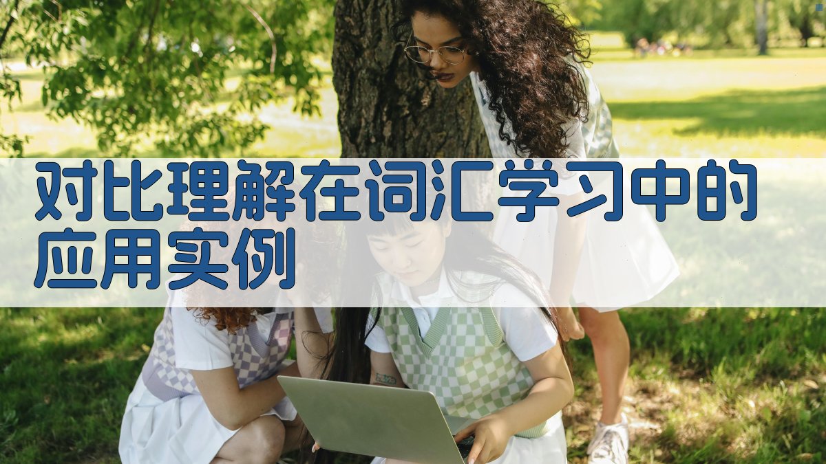 对比理解在词汇学习中的应用实例 图3