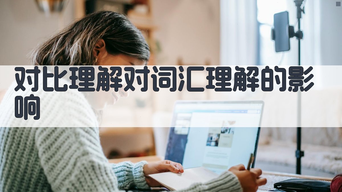 对比理解对词汇理解的影响 图3