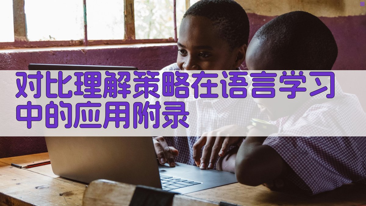 对比理解策略在语言学习中的应用 · 附录 图3