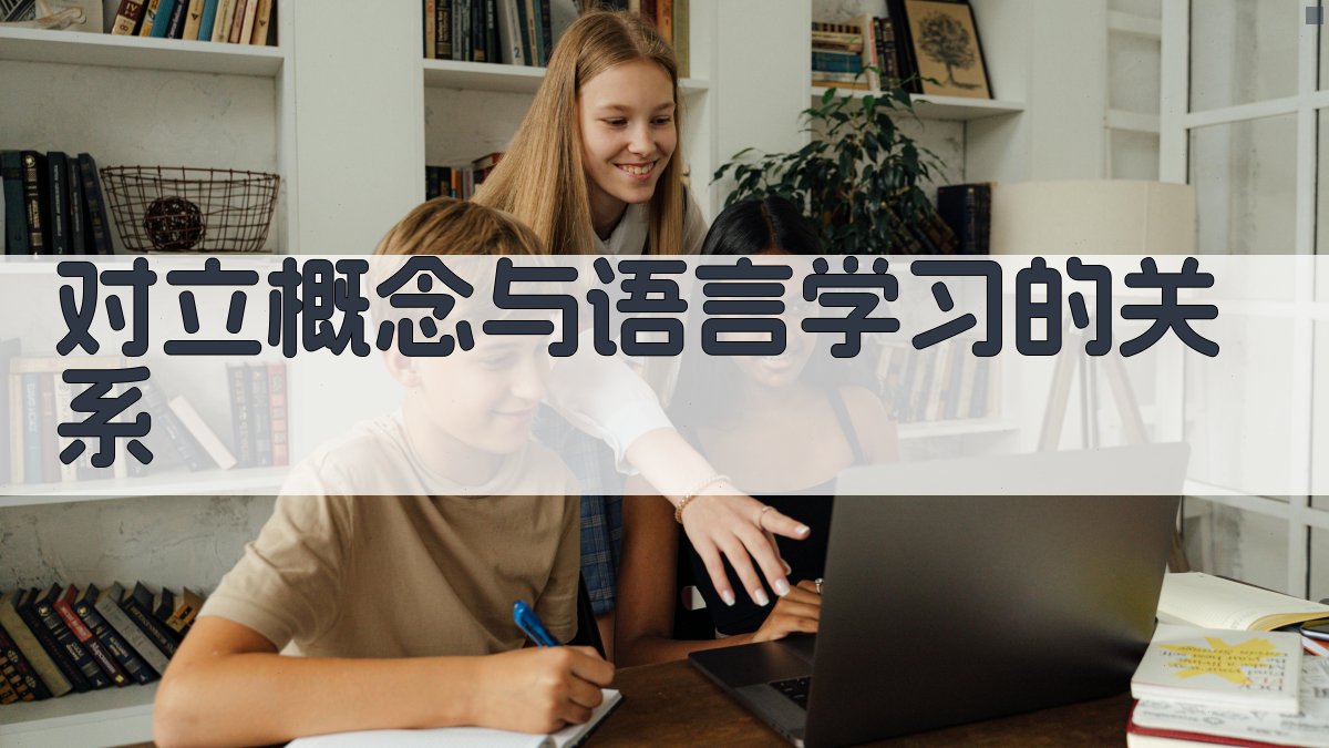 对立概念与语言学习的关系 图2