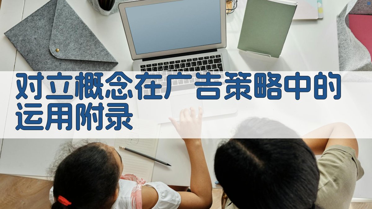 对立概念在广告策略中的运用 · 附录 图4