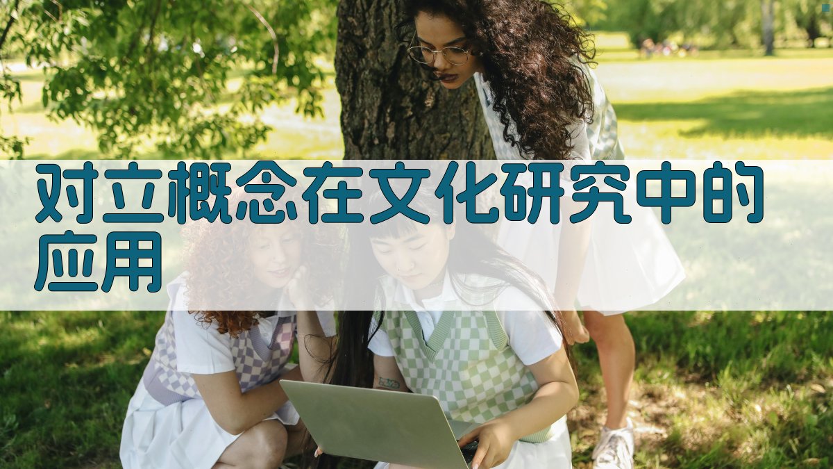 对立概念在文化研究中的应用 图1