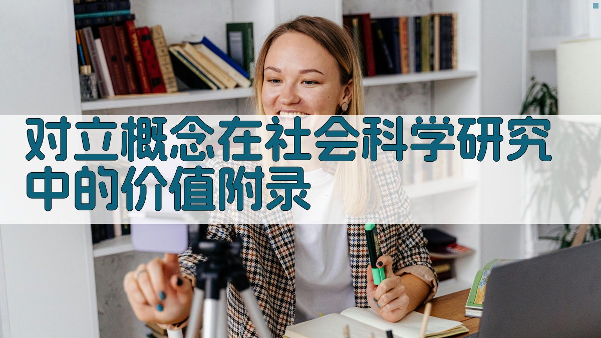 对立概念在社会科学研究中的价值 · 附录 图4