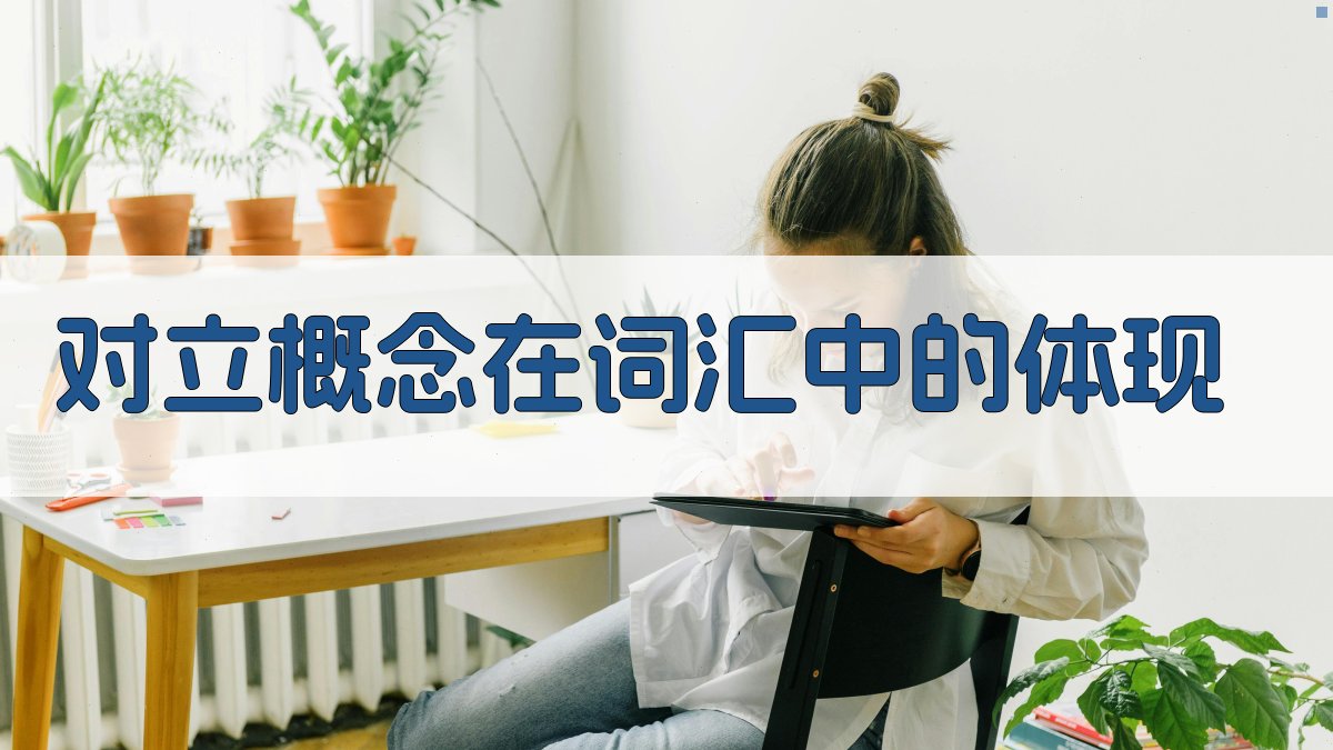 对立概念在词汇中的体现 图2